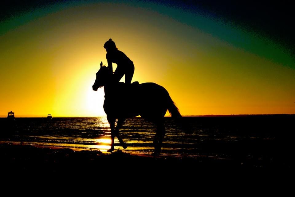 Sunrise Desert Ride