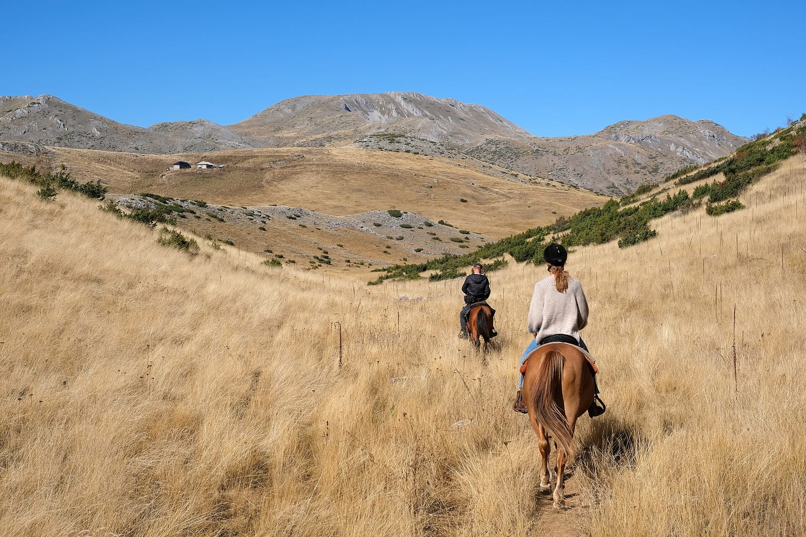 Trail Ride