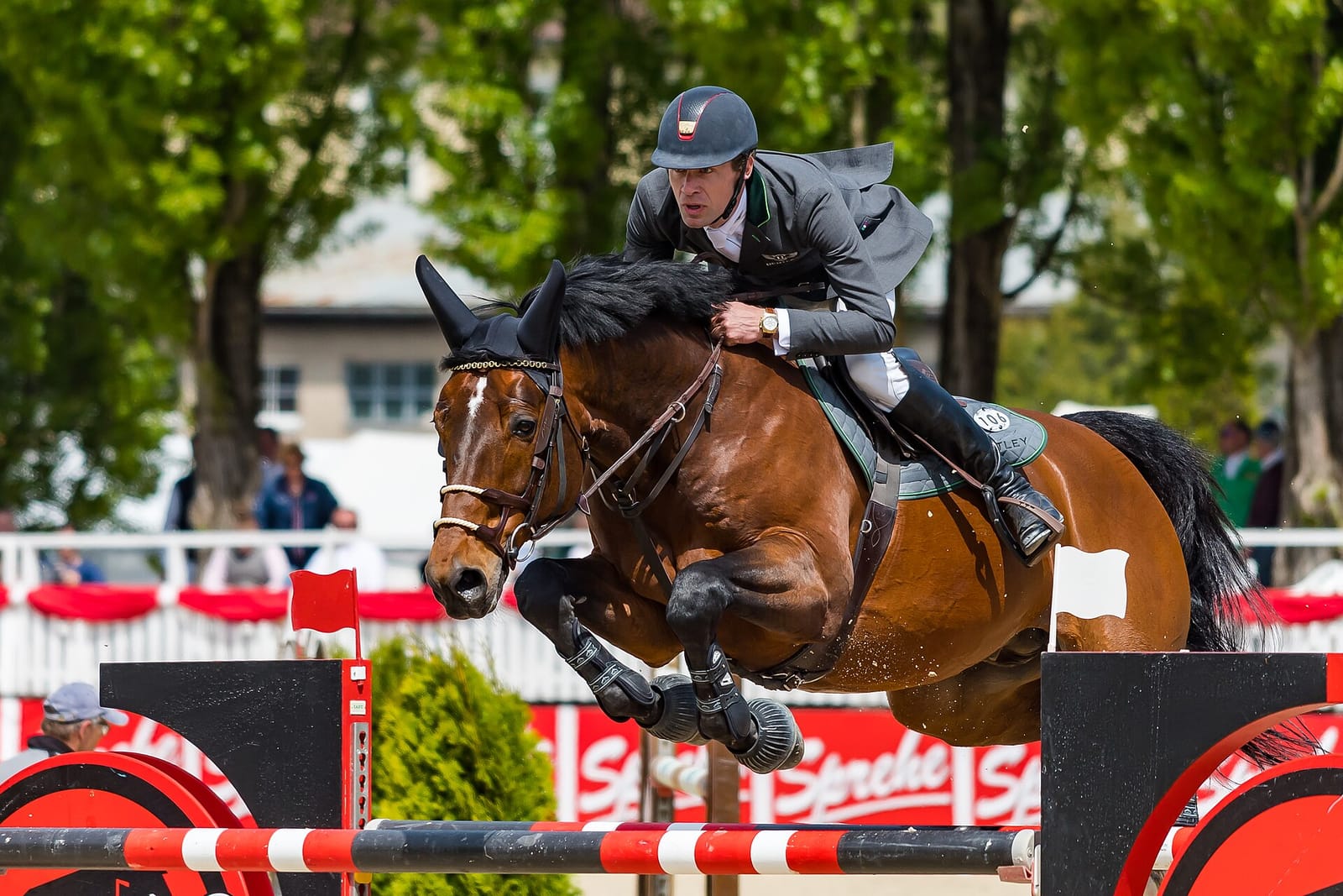 Sophie and Storm, clear round