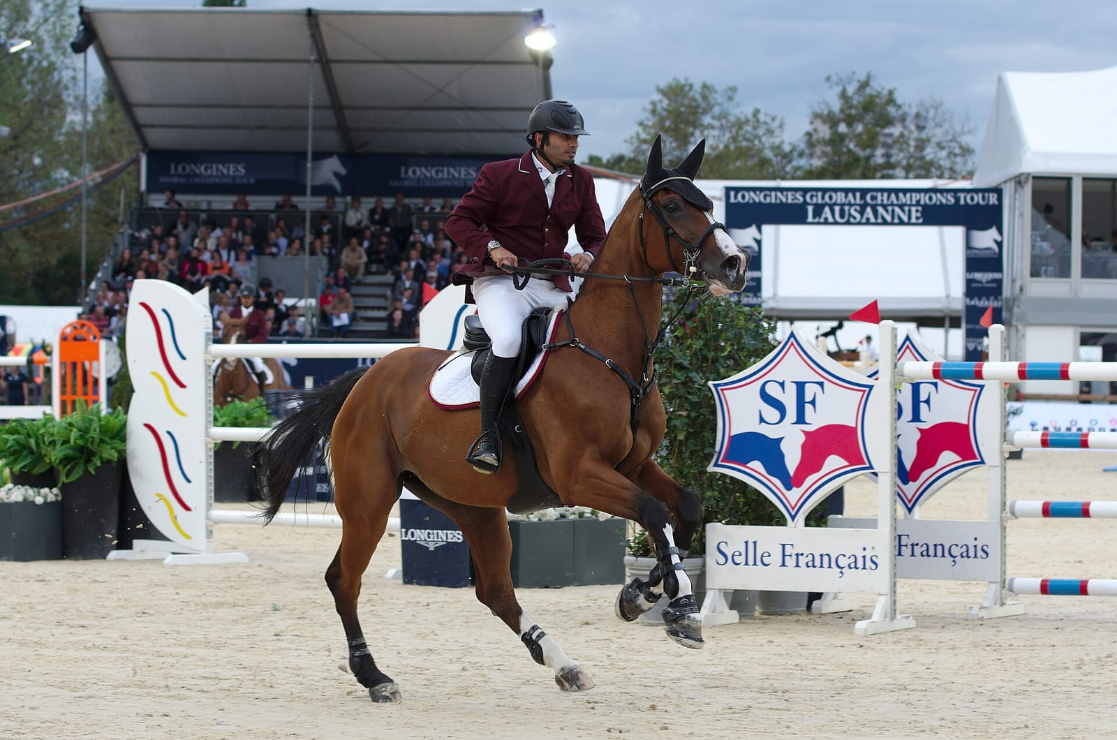 Desert Rose Winter Show Jumping