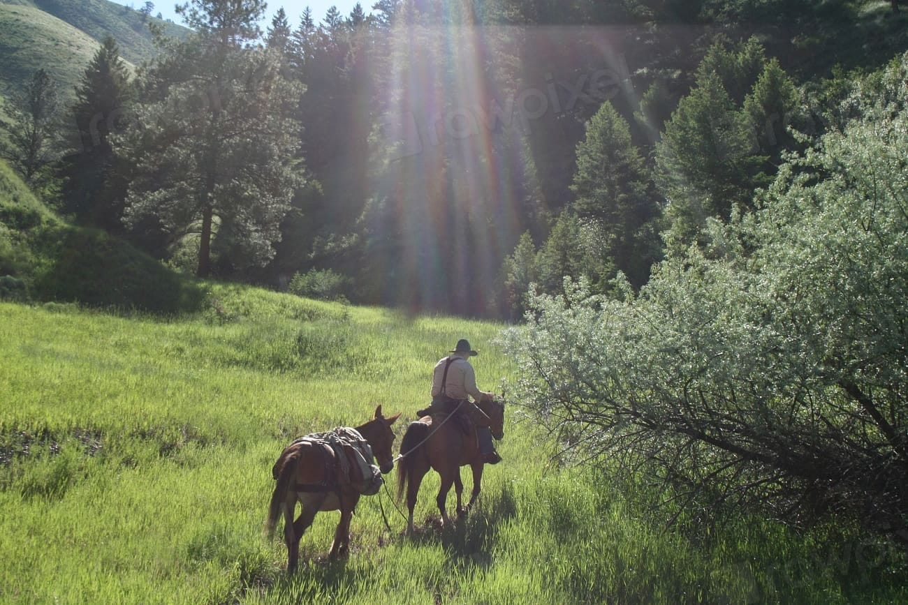 UAE National Day Trail Ride