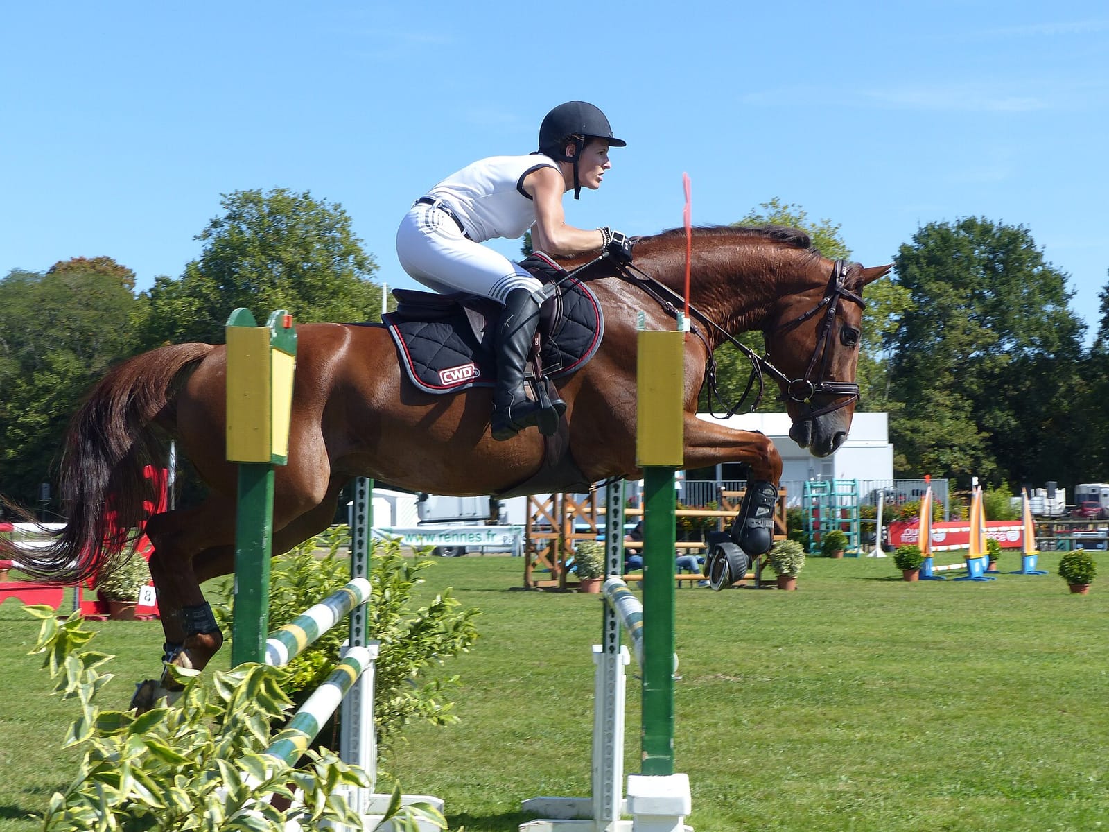 Autumn Schooling Show